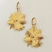 Boucles BB 233