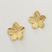 Boucles BB 255